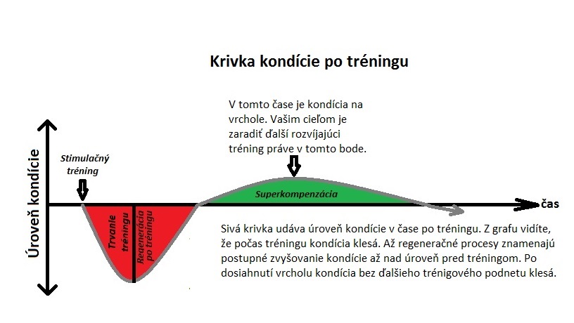 trening vytrvalost